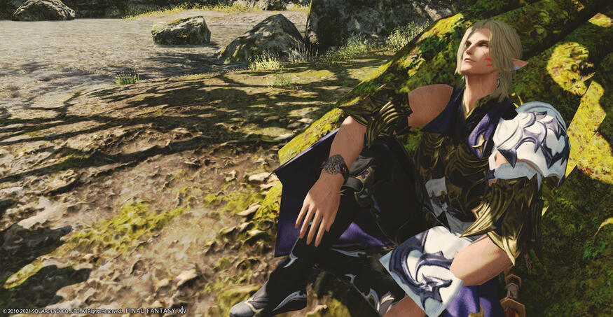 Myself in the forest