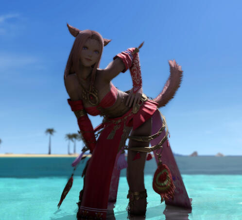 Beach cat