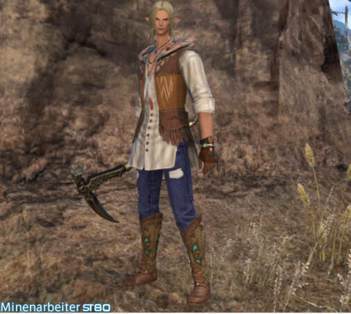 Miner lvl.80